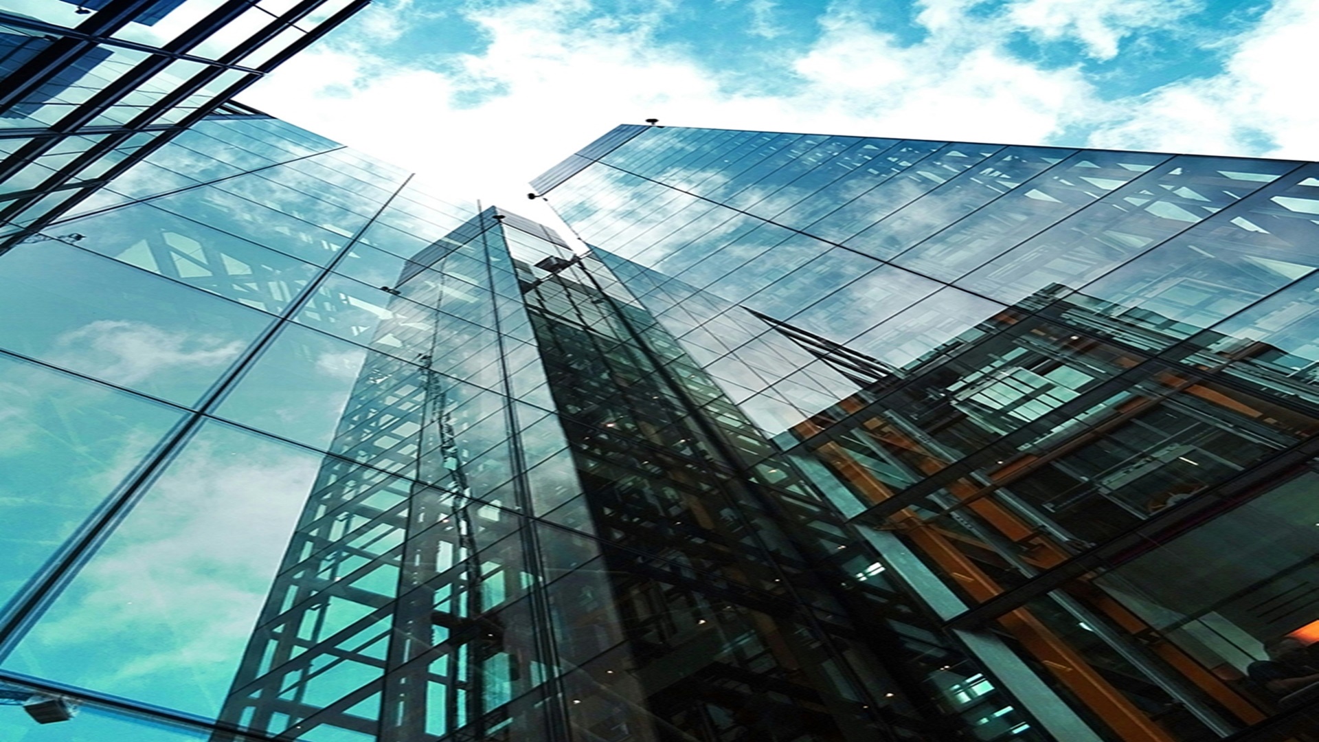 위파크 더센트럴